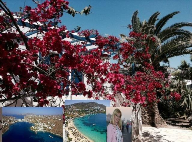 Holiday home Magical Ornos! House!beach 1' Walk-mykonos Town 2km Mykonos Town
